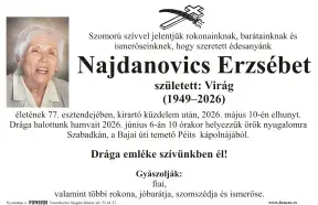 Najdanovics Erzsébet